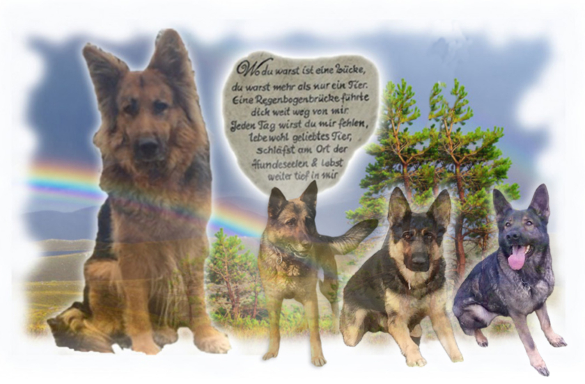 regenbogen_2025